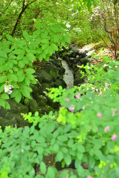 DSC_3346 (Large).JPG